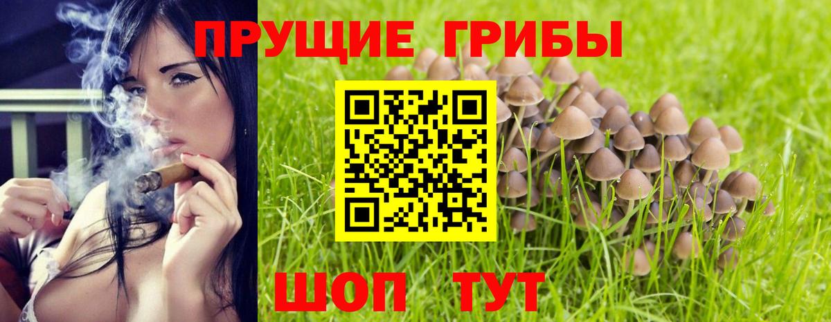хочу   Галлюциногенные грибы MAGIC MUSHROOMS  Вход с VPN  Алатырь 