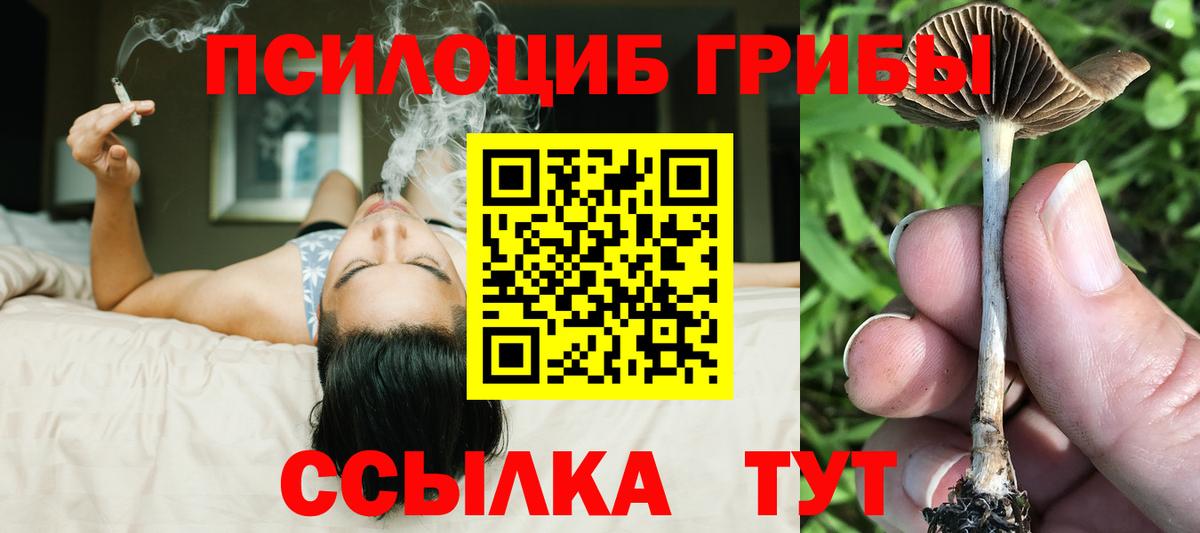 Псилоцибиновые грибы мицелий Алатырь