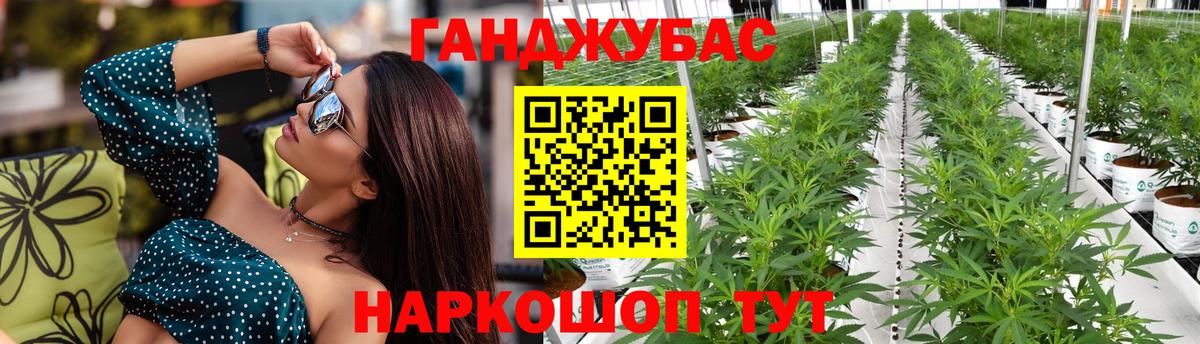 Канабис тримм  Вход с VPN  Бошки Шишки SATIVA & INDICA  Алатырь 
